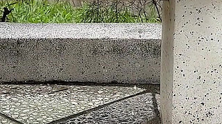 Public Wetting Jeans in Park Near the Beach