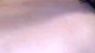 Asian Angel 23986