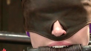 Claire Adams In Fabulous Porn Video Brunette Fantastic Unique