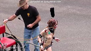 Naked ponygirl cart pulling