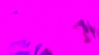 Wife Gives Naughty Blowjob