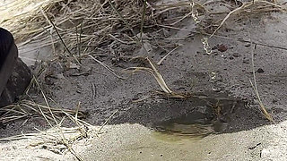 Compilation of Public Pissing in Nature While Traveling! POV!