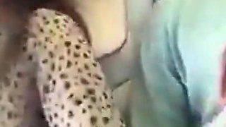 Public Bus Handjob