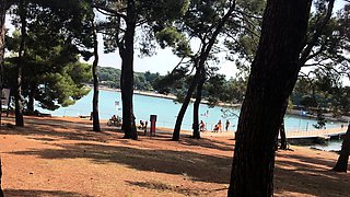 Amateur real small titted party teen slammed in gym class