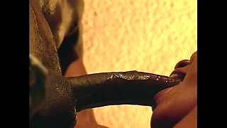 Unleashed Sluts for Anal Fuck