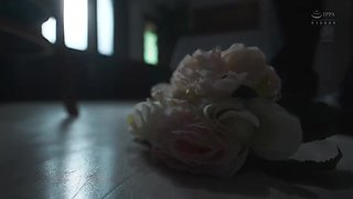 x1xFE4568E0CD8C6C41EE