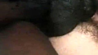 The Best of Rocco Siffredi Vol 4