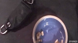 Male slave and his mistress femdom video