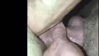 Breeding history