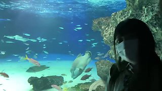 0009404_長身 ガン突き えっちなどが含まれている