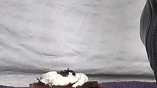 Smoking Mistress and Cake From Boot Soles POV Clip, Lady Victoria Valente