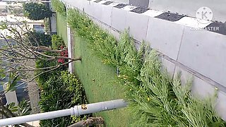 Delivery Boy Left the Neighbor's Stepsister-in-law with Fun