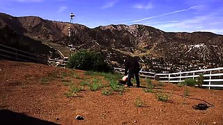 Greyhound Brutal Pony Training