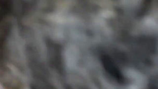 Curly Girl Sucking My Cock Rides Me and Get My Cum in Her Perfect Ass