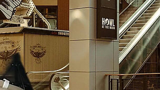 Sex in the Shopping Mall with Adamandeve and Lupo