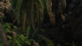 Unexpected Erection in Front of the Nurse