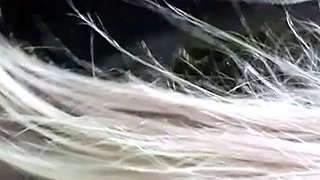 Pulled amateurs close up car sex