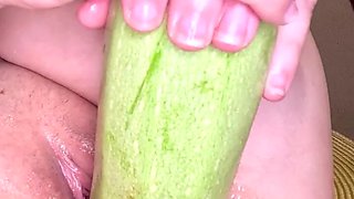 Zucchini in Pussy