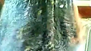 Mature Webcam Compilation Flashing Big Booty