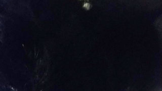 Fucking someone else's wife whose husband left her for work