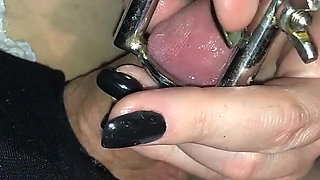 Watch How My Little Piggy Is Allowed to Watch