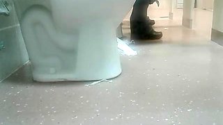 Woman has diarrhea in public restroom