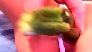Pulled amateurs close up car sex