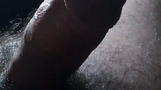 Bear sits me in motel apparatus so that he me alone