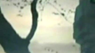 Trailer 415