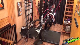 Delightful Aris Dark At Kink Xxx