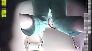 Girls approach cunt and anus to working toilet cam