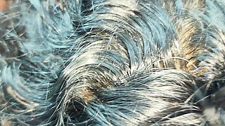 Step Stepsister Enjoy with Step Stepbrother and Husband and Hard Fuck with Step Stepbrother While Husband Not in Home