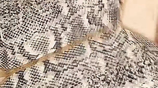 Fur Lover Fucks Two Sisters and Arrests Them