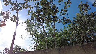 Day in Mexico
