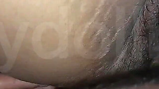 Punjabi Couple Enjoy with Anal Sex