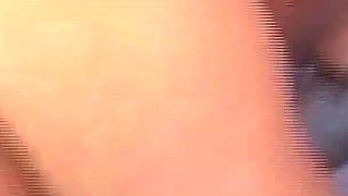 Big Ass Ebony Babe Sydnee Kapri Is Ready to Pounce on a Hard Tool.