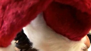 Lisa Ann - Anal Prostitutes On Video