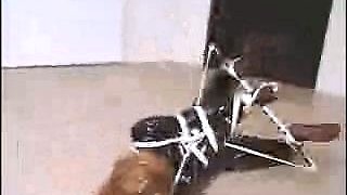 Amateur Honey With A BDSM Fetish