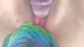 Big Colorful Crazy Dildo and a Small Transparent Dildo