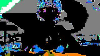 Straight Leaf Bikini