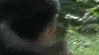 Trailer 517