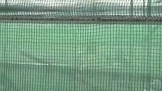 Sdde-664: College of Squirt (english Subtitles by Erojapanese)