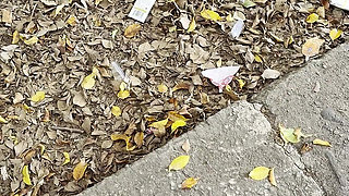 Colombian Girl Masturbates in Public on the Street