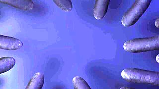 Cum in mouth sex with squeaky Struggling Babes and Hailey Rose from Hentaied