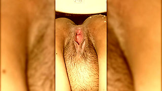 pulssy sow