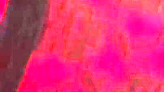 Vgq24 Aunty Sandra Wearing 1940's Stockings