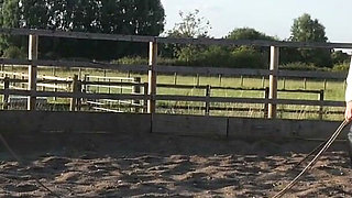 Trotting to Submission