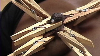 Revay Clothespins Rvb0cd