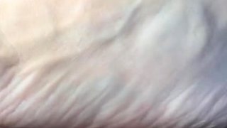 Amateur girlfriend toys and sucks outdoor with facial