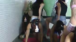 Be My Pet Sweet Girl - Lezdom Top Babes